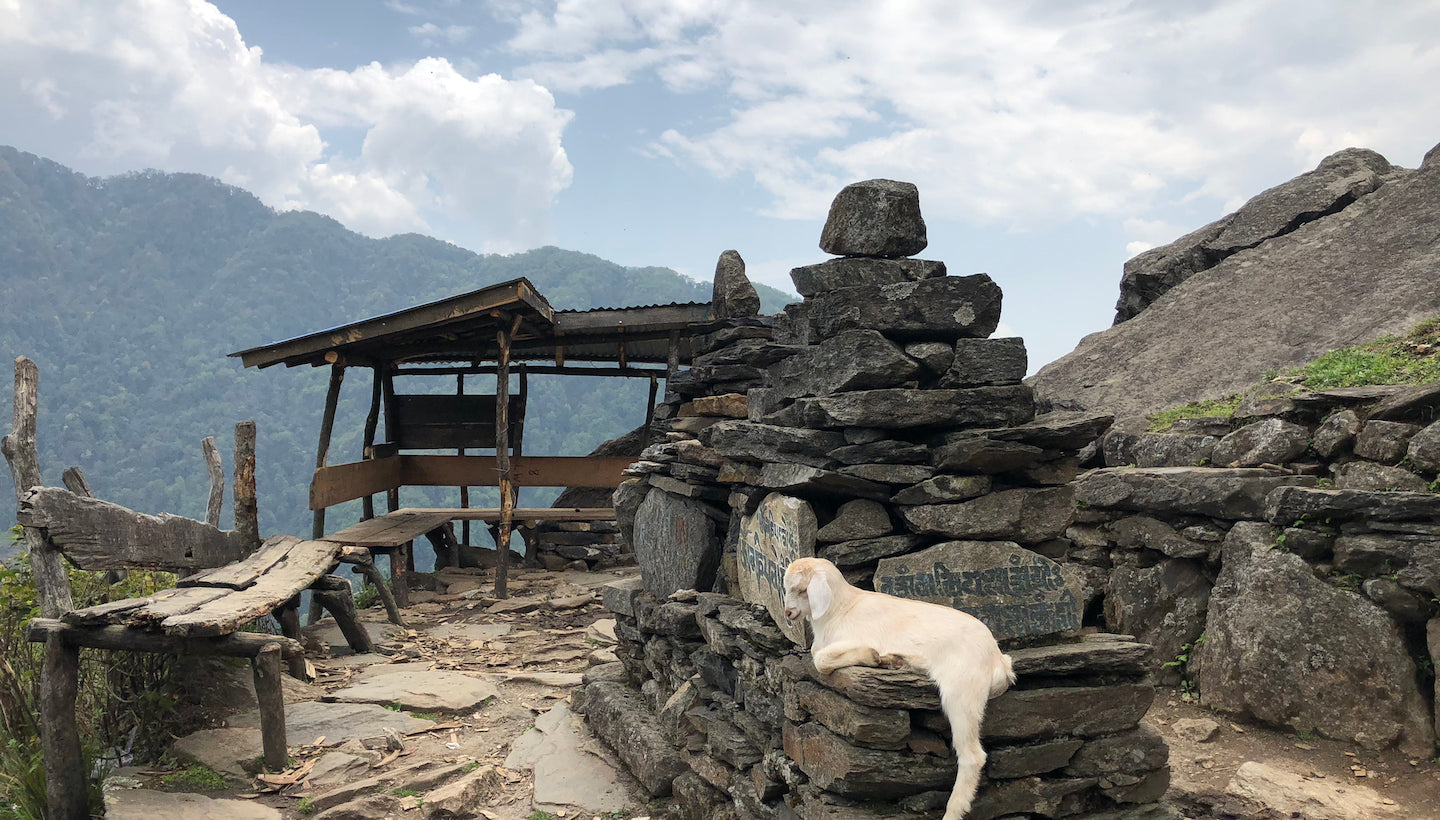 Nepal Trekking
